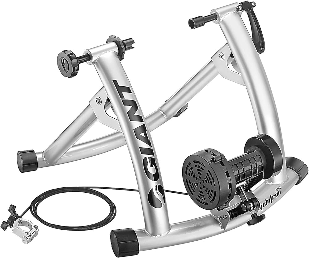 GIANT CYCLOTRON MAG II TRAINER SILVER – Detour Bike Shop