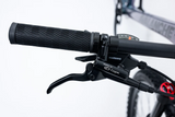 AVALANCHE REFLEX SPORT 29”