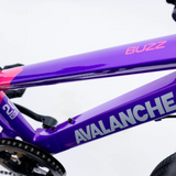 AVALANCHE BUZZ 20”