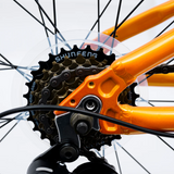 AVALANCHE COSMIC 24” BOYS