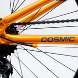 AVALANCHE COSMIC 24” BOYS