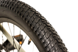 AVALANCHE FLASH 20”