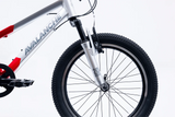 AVALANCHE BUZZ 20”