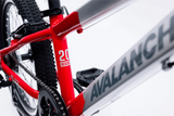 AVALANCHE BUZZ 20”