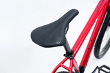 AVALANCHE REFLEX TEAM 29”