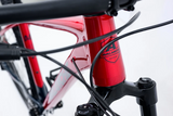 AVALANCHE REFLEX TEAM 29”