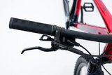 AVALANCHE REFLEX TEAM 29”
