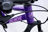 AVALANCHE COSMIC 24” GIRLS
