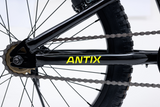 AVALANCHE ANTIX 20” BOYS