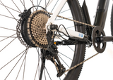 AVALANCHE ELECTRIC BIKE MTE 29er ( Black/White)