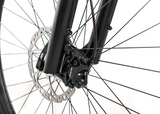 AVALANCHE ELECTRIC BIKE MTE 29er ( Black/White)