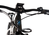 AVALANCHE ELECTRIC BIKE MTE 29er ( Black/White)
