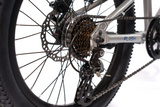 AVALANCHE FLASH 20”