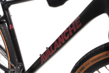 AVALANCHE DUST GRAVEL BIKE